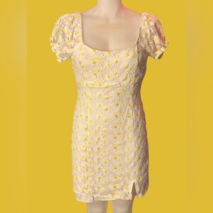 Altar’d State Daisy Embroidered Mini Dress